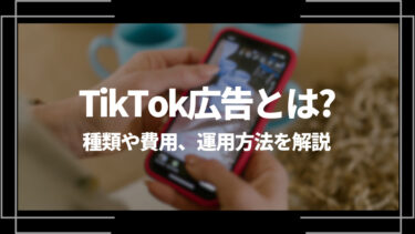 TikTok広告とは？種類や費用、出し方や運用方法を解説