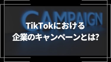 TikTokの企業キャンペーンとは？実際の成功事例や重要ポイントを解説
