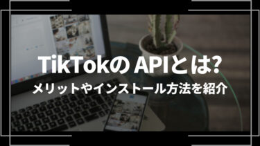 TikTok APIとは？利用するメリットやインストール方法、エラーの対処法を解説
