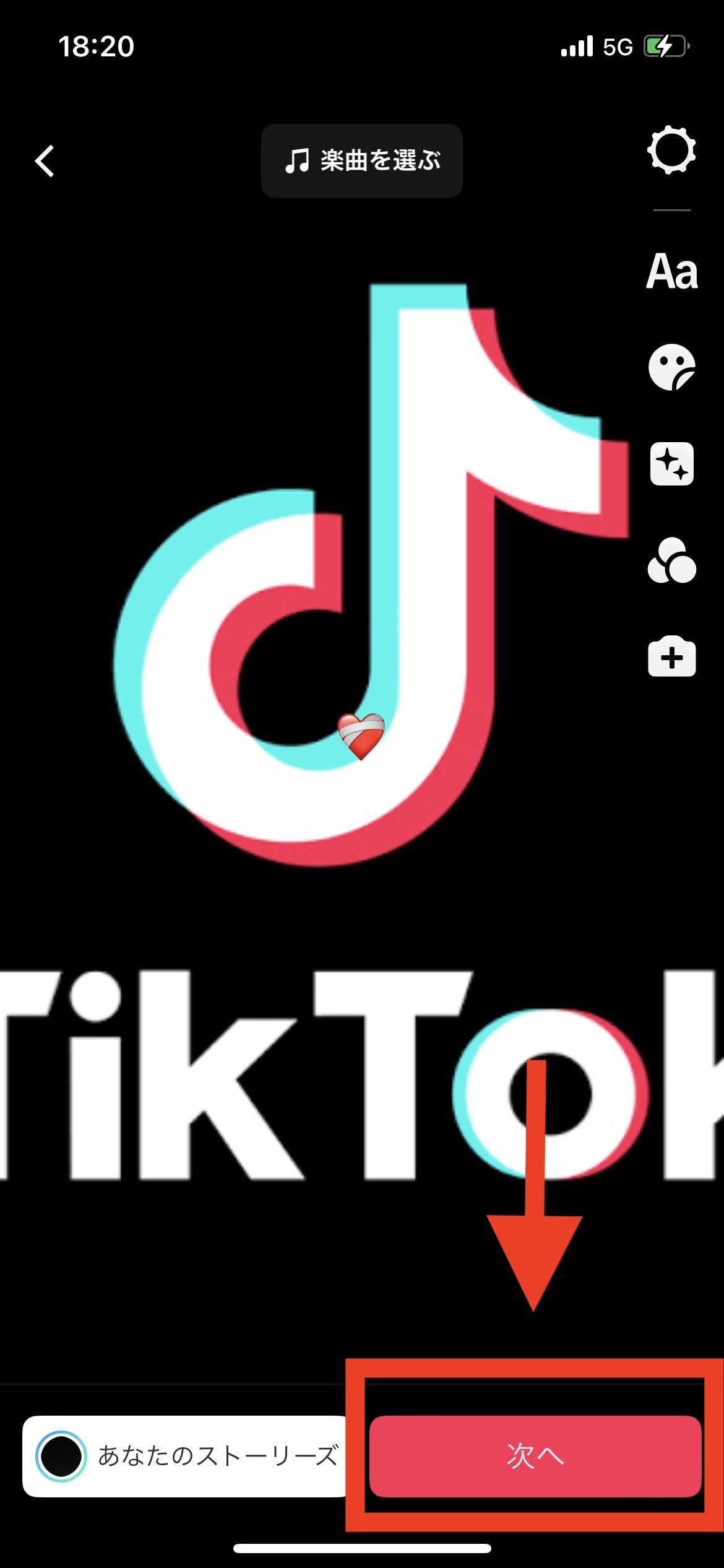 TikTok 動画確認